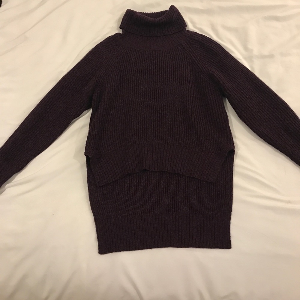 Aritzia Sweater